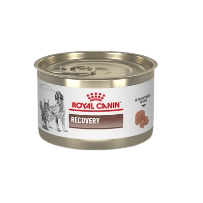 Alimento Para Perro Royal Canin Recovery