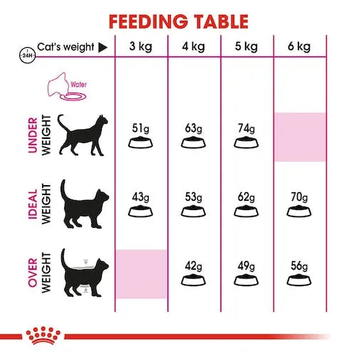 Alimento Para Gato Royal Canin Savour Exigent