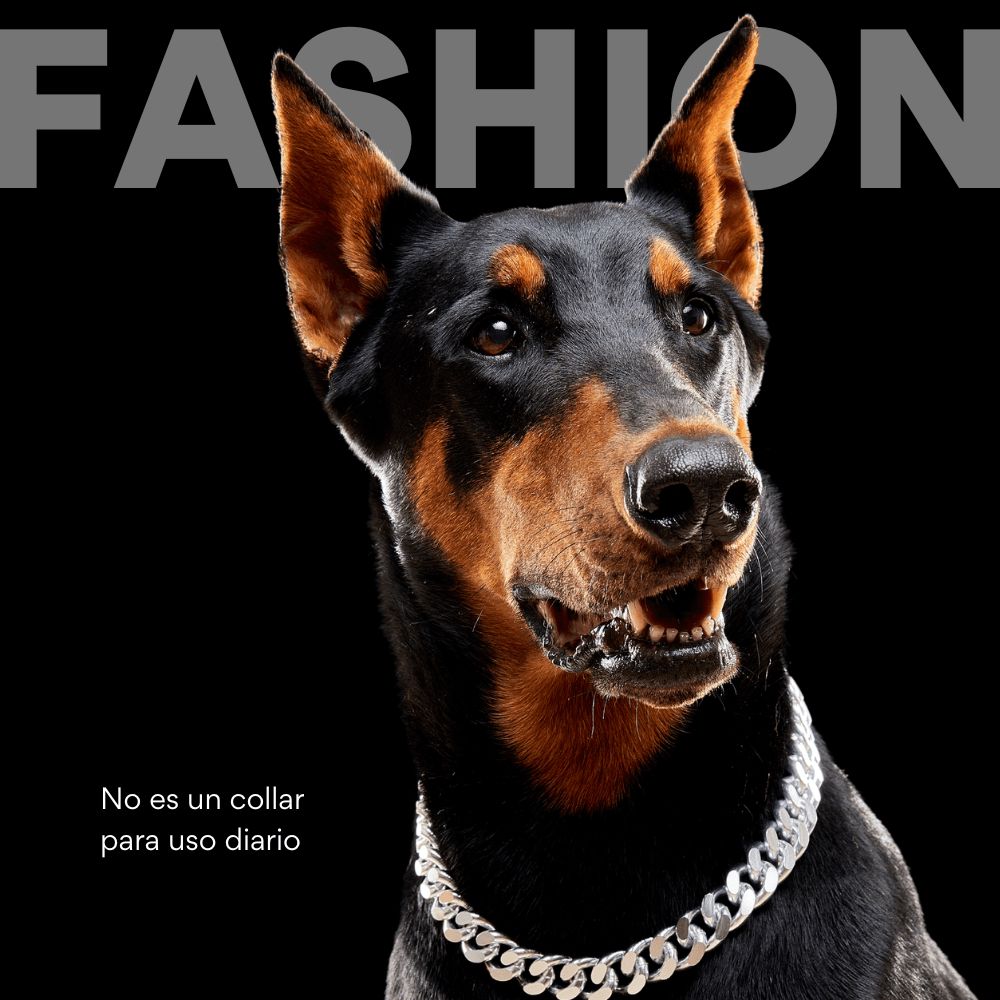 Collar Cadena Cubana Kanu Pet Plateada para Perro y Gato