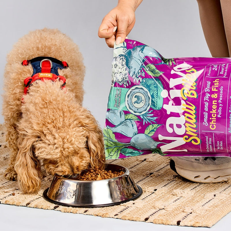 1_9bdaca41-ced9-44b1-a8e4-61b664a6bc15-Kanu Pet