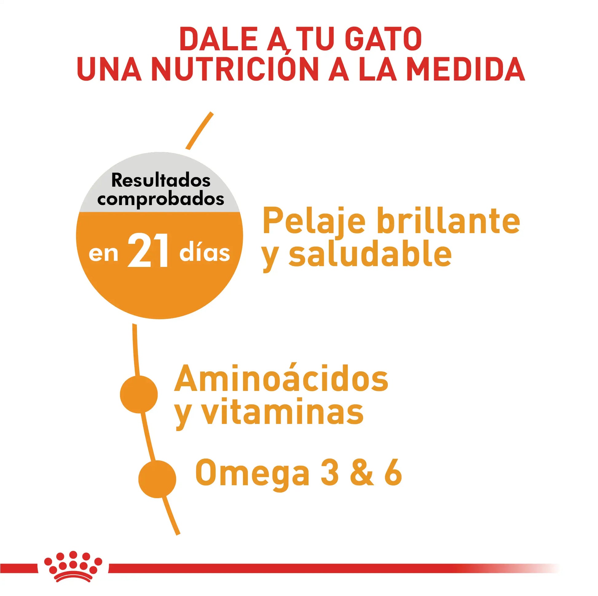 Alimento para gato Royal Canin FCN Hair & Skin Care