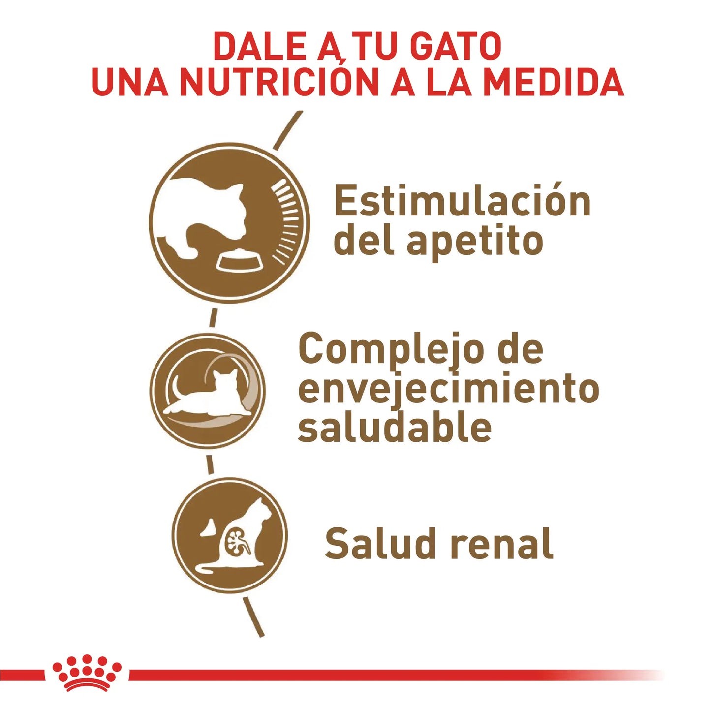 Alimento Para Gato Royal Canin Mixf Felino Ageing 12+ Kit Especial