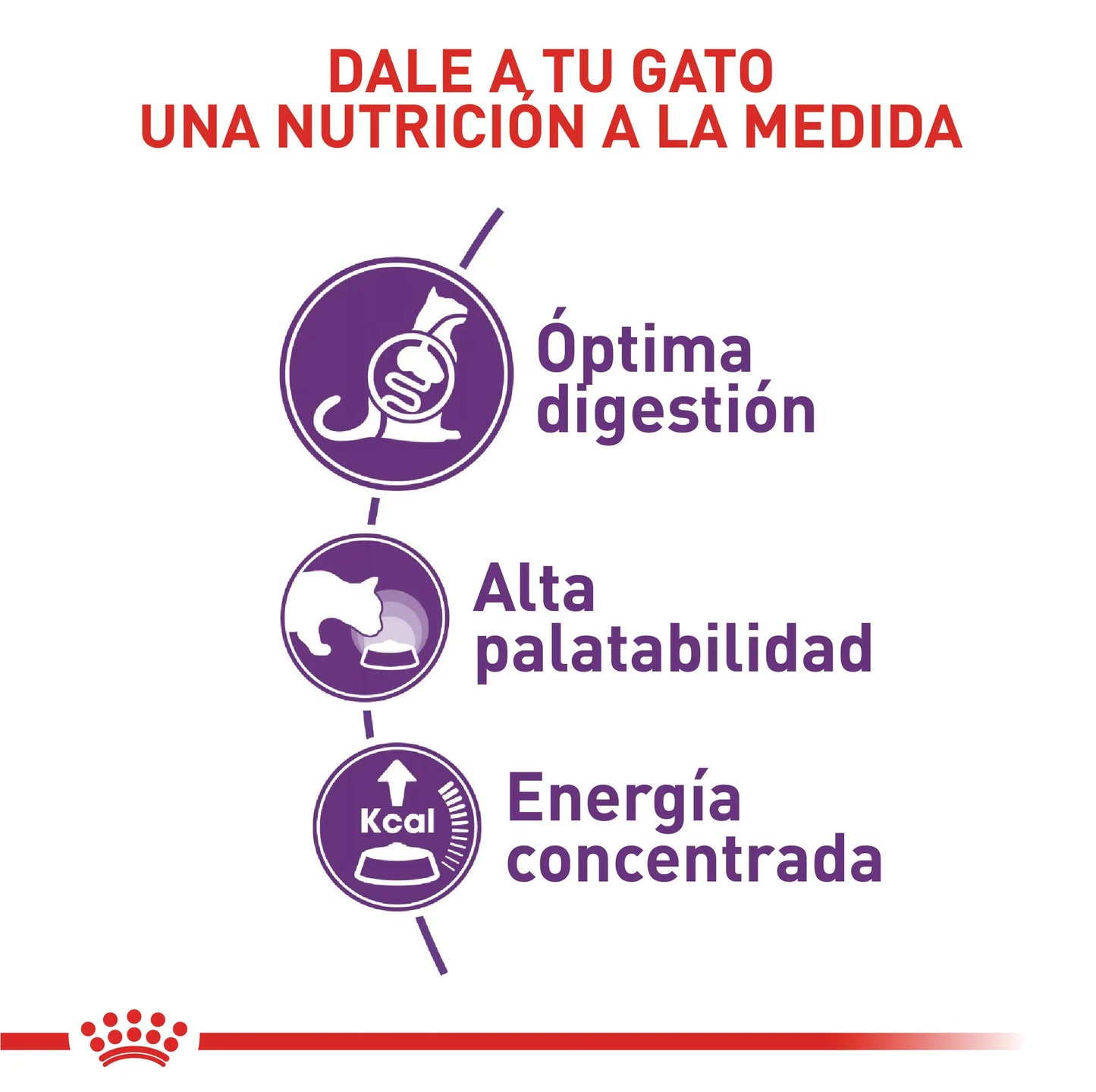 Alimento para gato Royal Canin Sensible