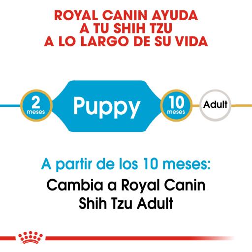 Alimento para perro Royal Canin Shih Tzu Cachorro