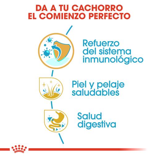Alimento para perro Royal Canin Shih Tzu Cachorro