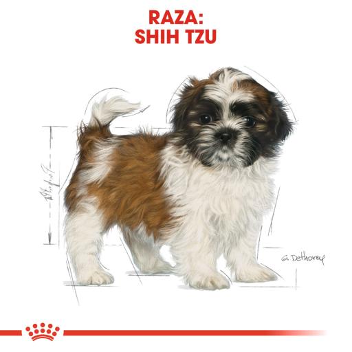 Alimento para perro Royal Canin Shih Tzu Cachorro