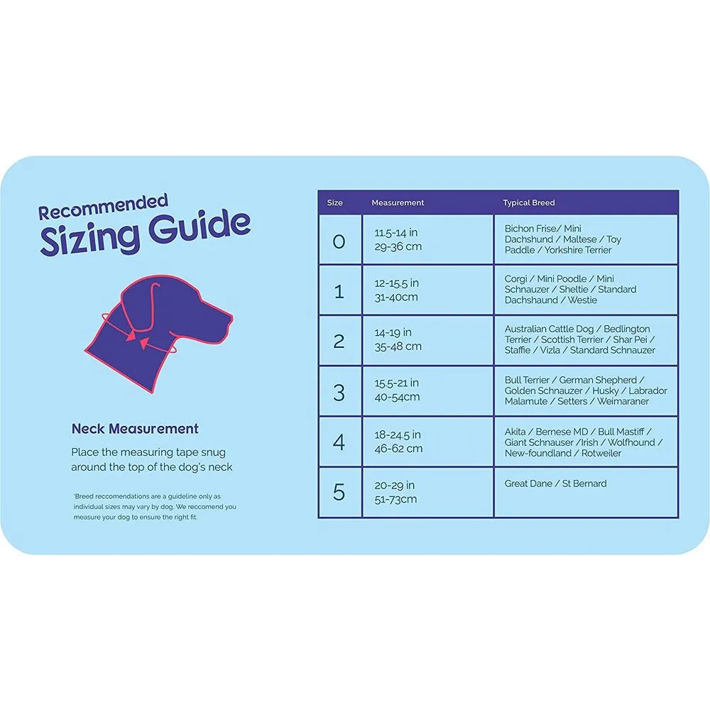 Coa Halti Headcollar T4 para perro