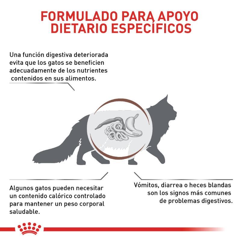 Alimento Para Gato Royal Canin Gastro Intestinal