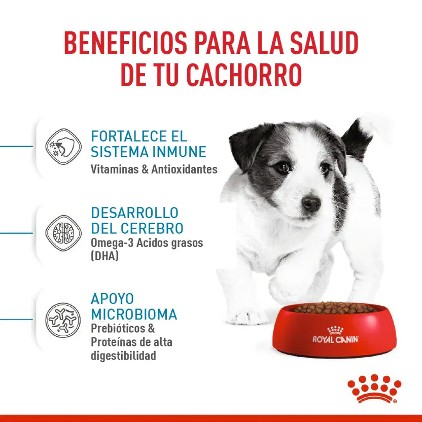 Alimento Seco Royal Canin Mani Puppy + 3 Lata Especial Pack Para Cachorro