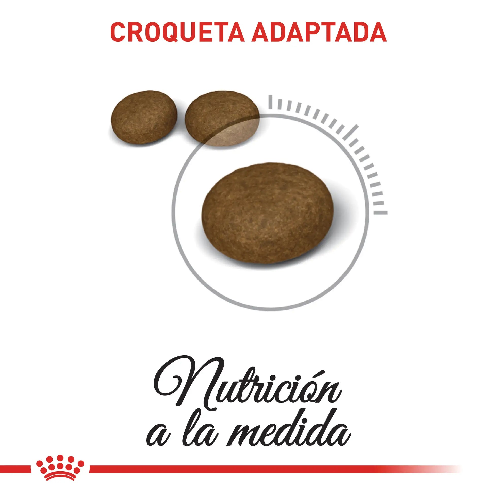Alimento para gato Royal Canin FCN Hair & Skin Care