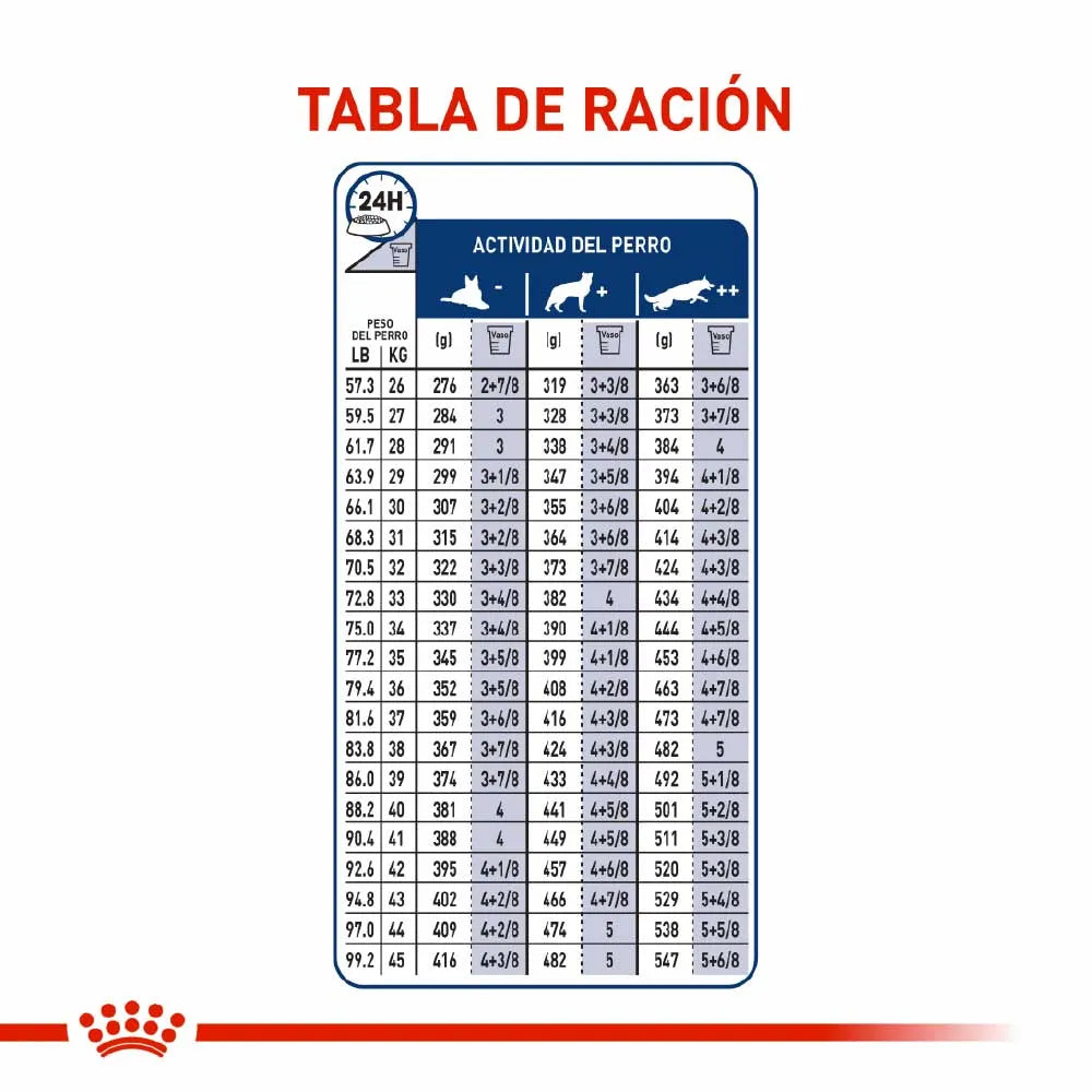 Alimento para perro Royal Canin Maxi Adulto