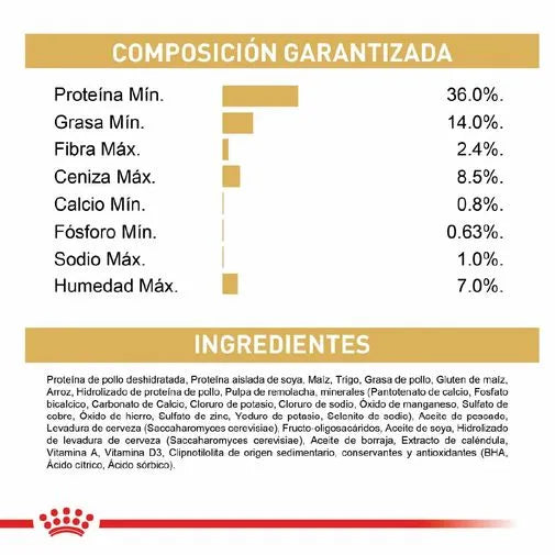 Alimento para gato Royal Canin Siames