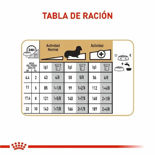 Alimento para perro Royal Canin Dachshund