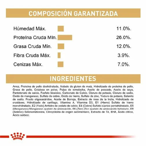 Alimento para perro Royal Canin Dachshund