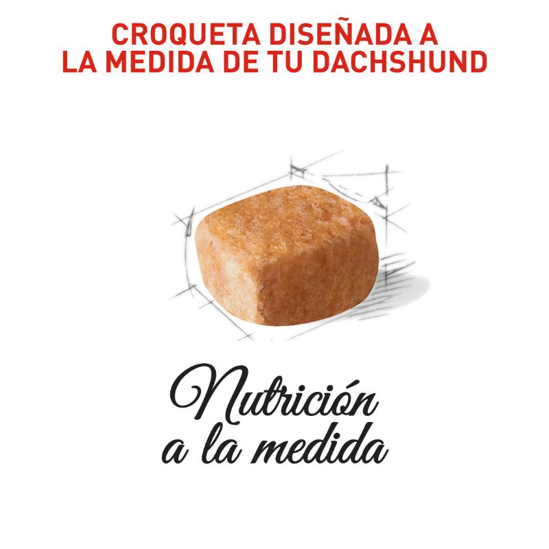 Alimento Para Perro Royal Canin Dachshund Puppy