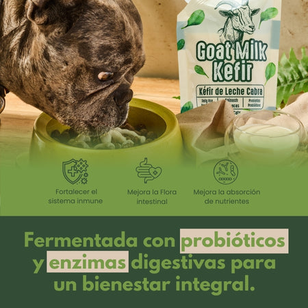 3_8405af97-cef6-4d8d-b485-7aead6e6cd57-Kanu Pet