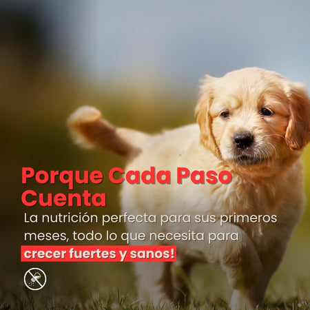 3_f0d2b59f-2b6d-483e-8cbb-97fe3a9d07ce-Kanu Pet