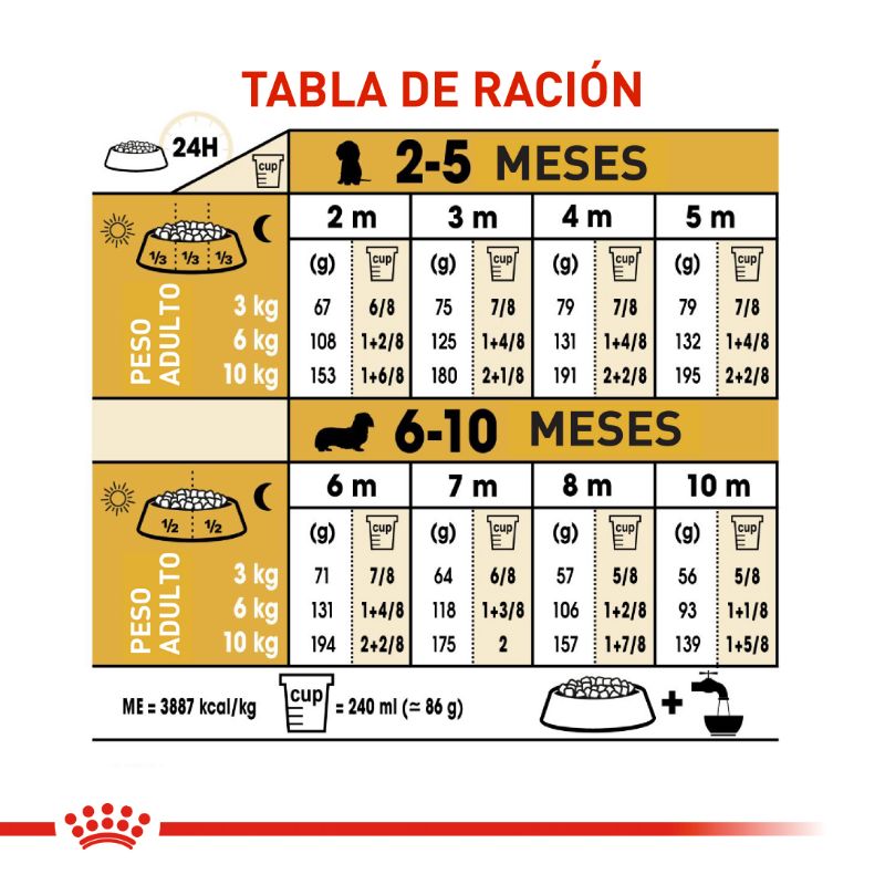 Alimento Para Perro Royal Canin Dachshund Puppy