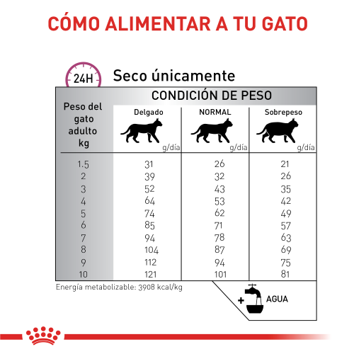 Alimento Para Gato Royal Canin Renal Special