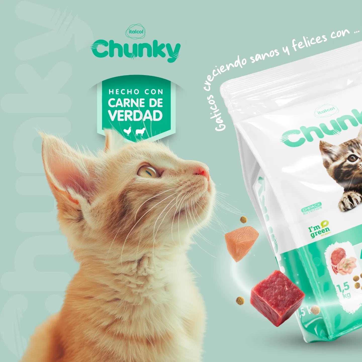 Alimento chunky gatitos pollo-ordero