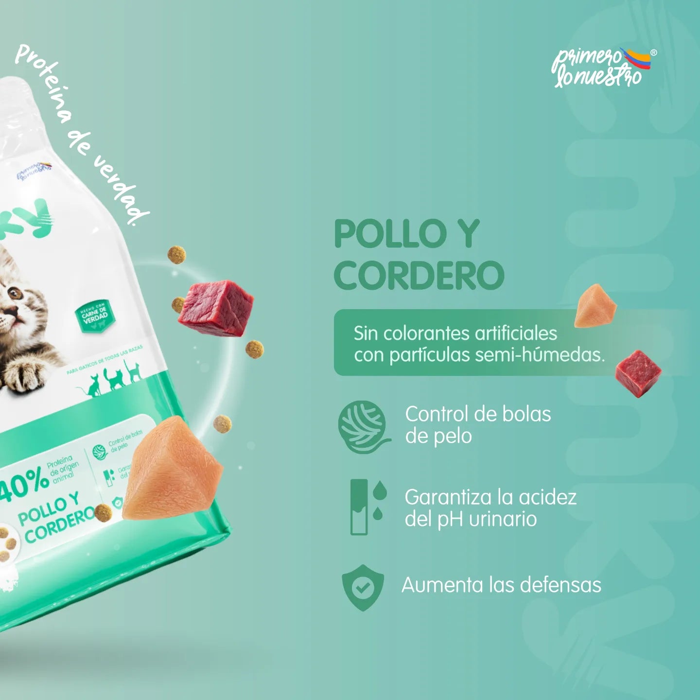 Alimento chunky gatitos pollo-ordero