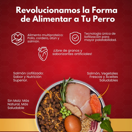 4_16456d56-4f9b-4783-84be-f3fa344271de-Kanu Pet