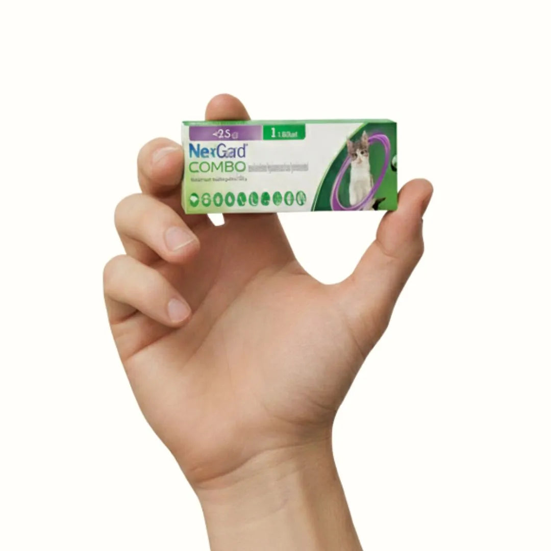 Antipulgas Nexgard Combo  para Gatos  S de 2 Kg Una sola 1 Dósis