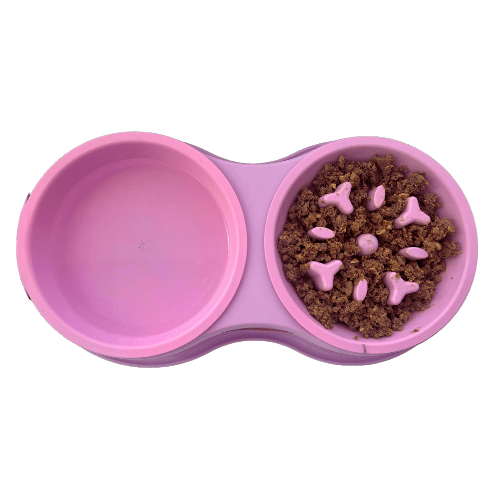 Comedero Circular Antirreflujo Doble Kanu Pet Lila para Perro y Gato