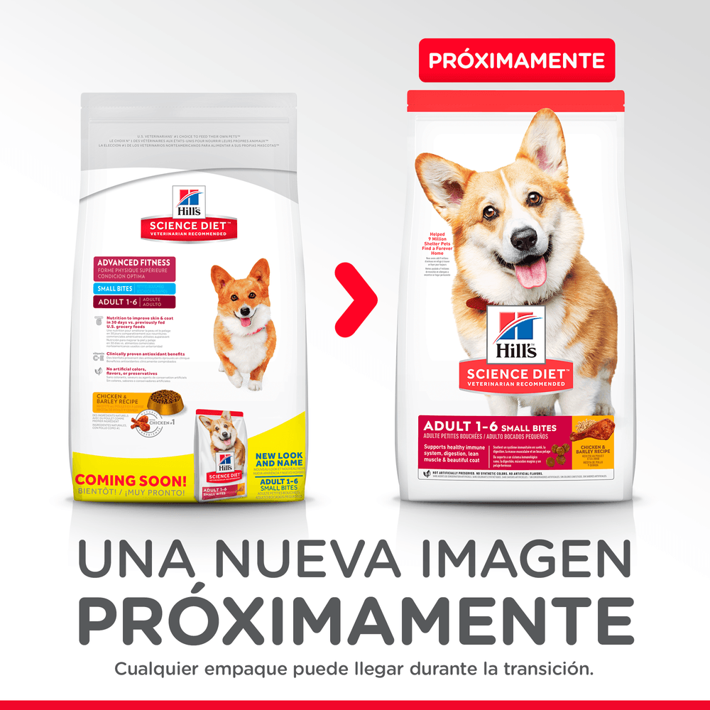 Alimento Seco para perro Hills Adulto Small Bites