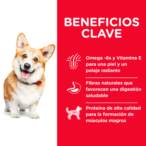 Alimento Seco para perro Hills Adulto Small Bites