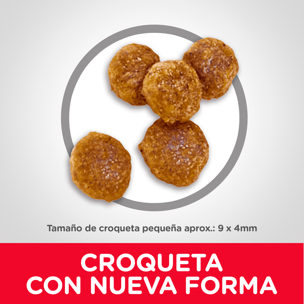 Alimento Seco para perro Hills Adulto Small Bites