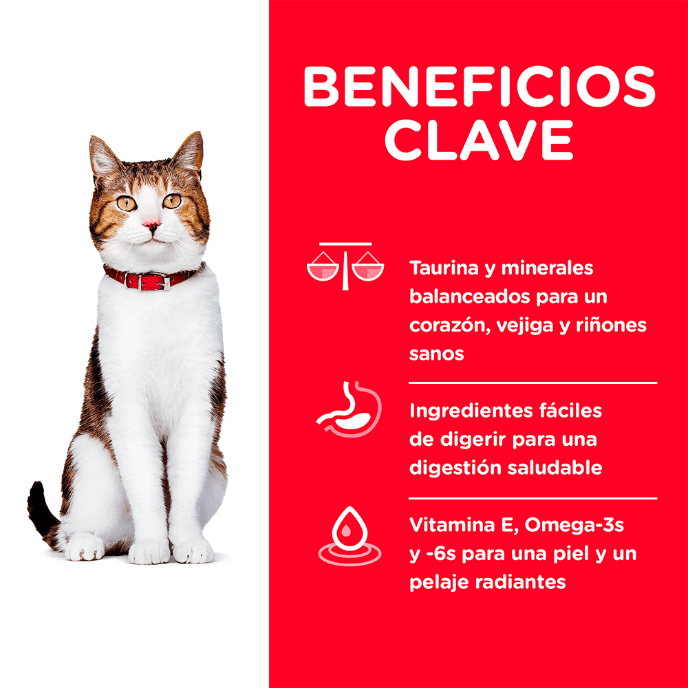 Alimento para gato Hills Felino Senior Mature