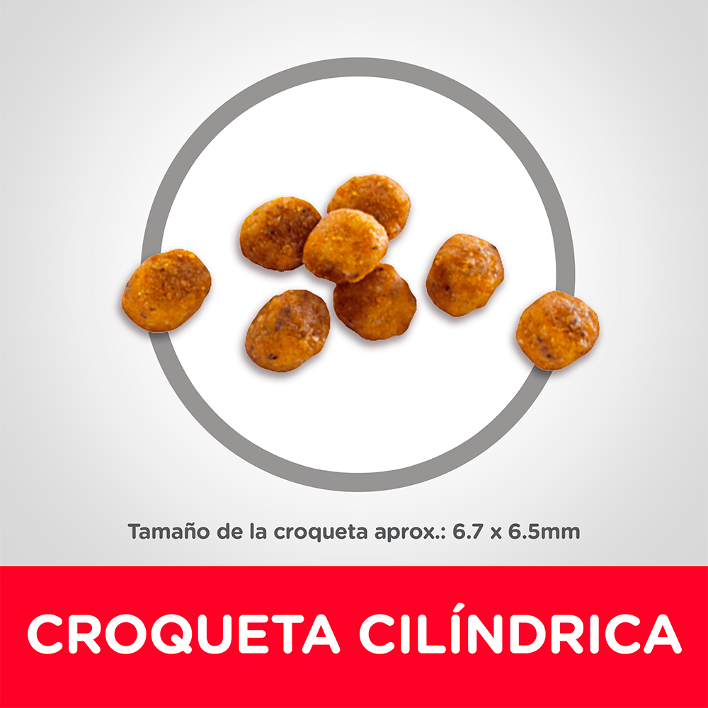 Alimento para gato Hills Felino Senior Mature
