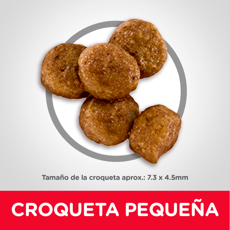 Alimento para perro Hills Canino Cachorro Small Bites
