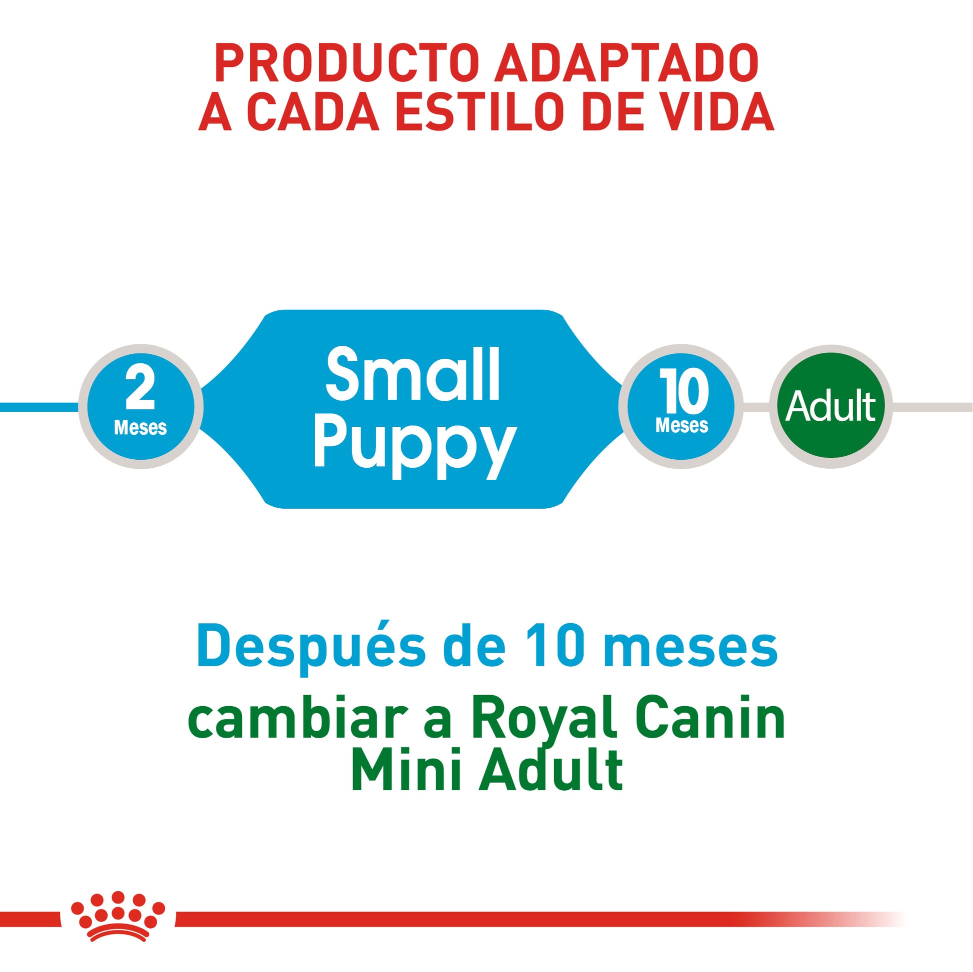 Alimento Para Perro Royal Canin Mini Puppy Precio Especial