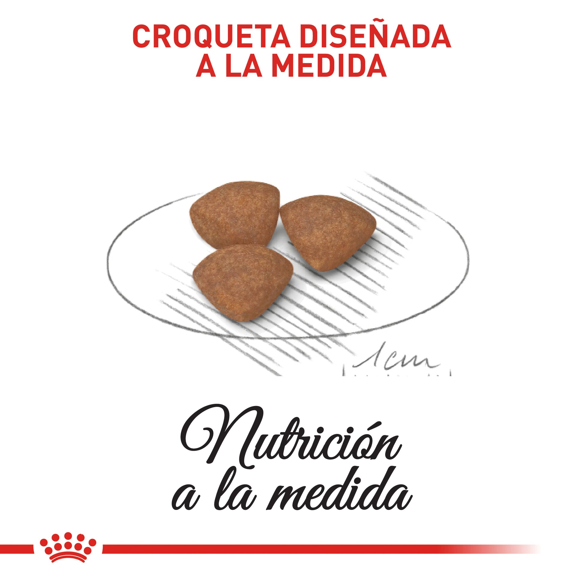 Alimento Para Perro Royal Canin Mini Puppy Precio Especial