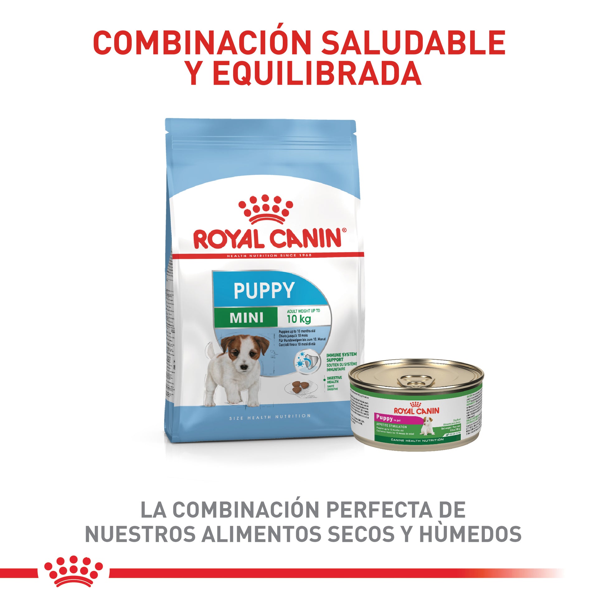 Alimento Para Perro Royal Canin Mini Puppy Precio Especial