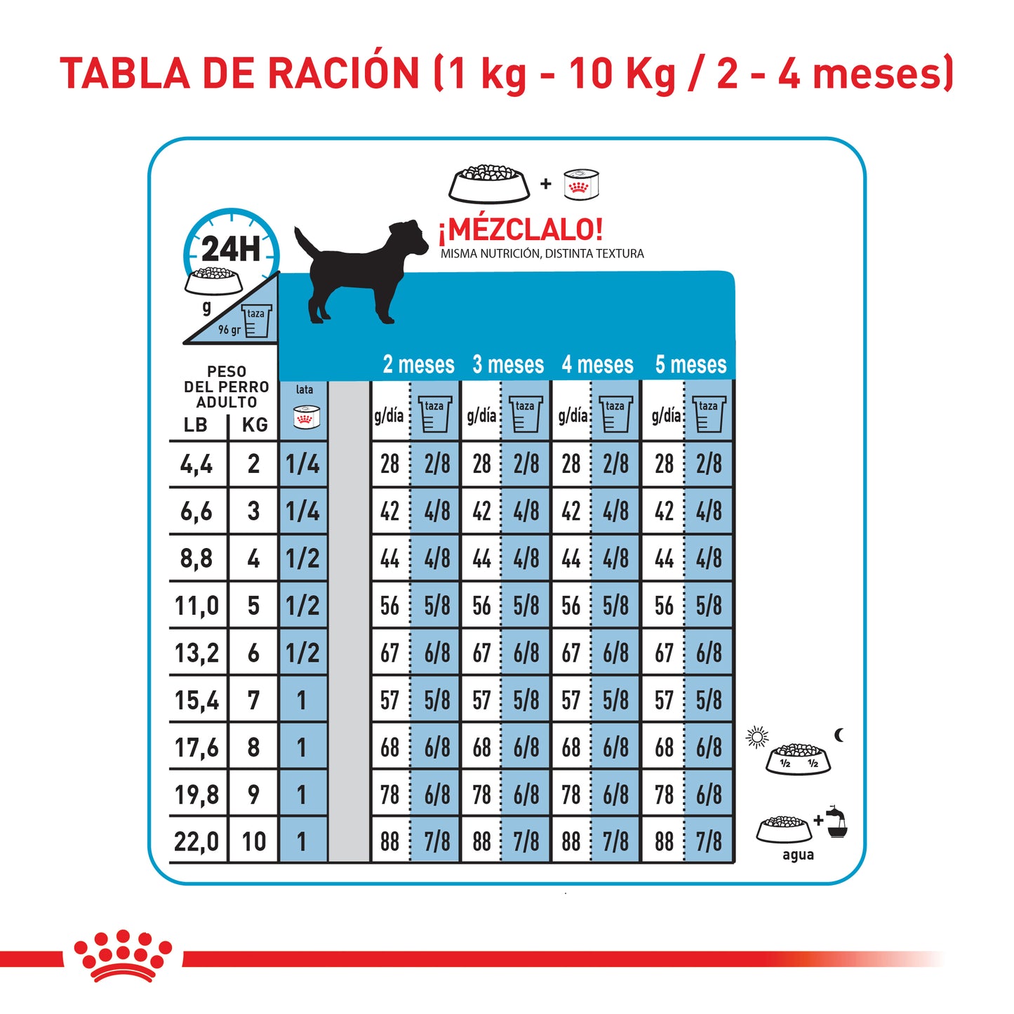 Alimento Para Perro Royal Canin Mini Puppy Precio Especial