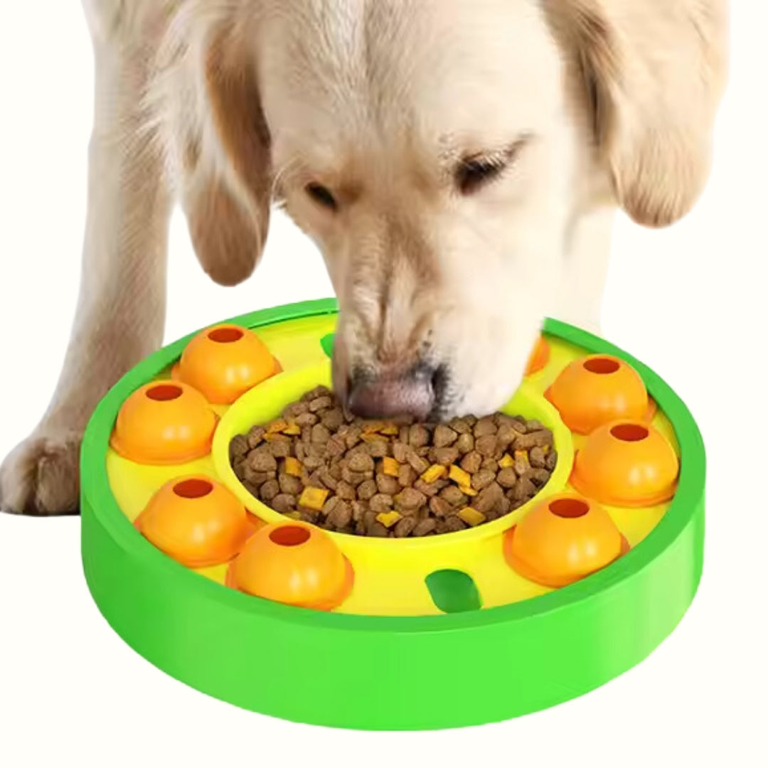 Juguete Interactivo Multifuncional Bubble Kanu Pet para Perro y Gato