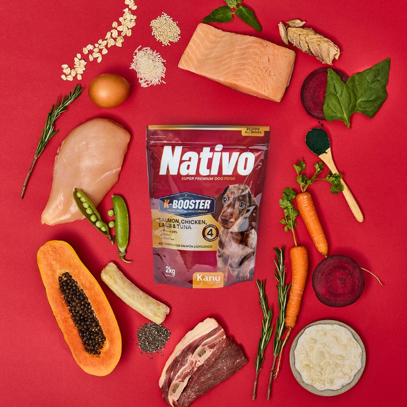 5_a97cdf63-df4f-4d6a-8421-364153582f9c-Kanu Pet