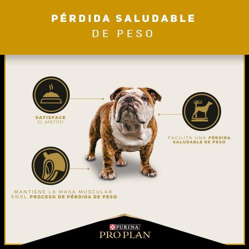 Alimento para perro Proplan Reduced Calorie