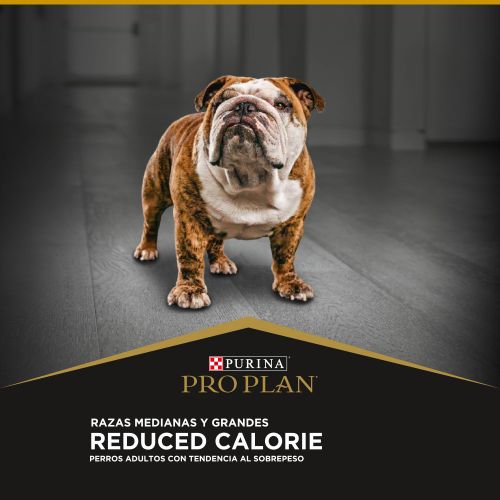 Alimento para perro Proplan Reduced Calorie