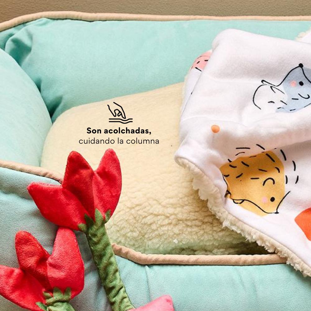 Cama Rectangular Ovejero Verde Aguamarina Kanu Pet para Perro