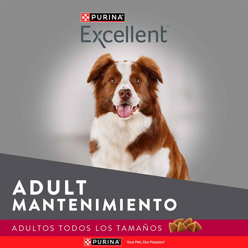 Alimento Para Perro Excellent Maintenance Adult