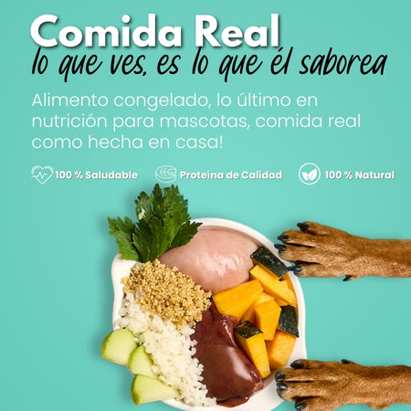 6_3d61f65e-e855-4653-9308-f6d9c5fcb073-Kanu Pet