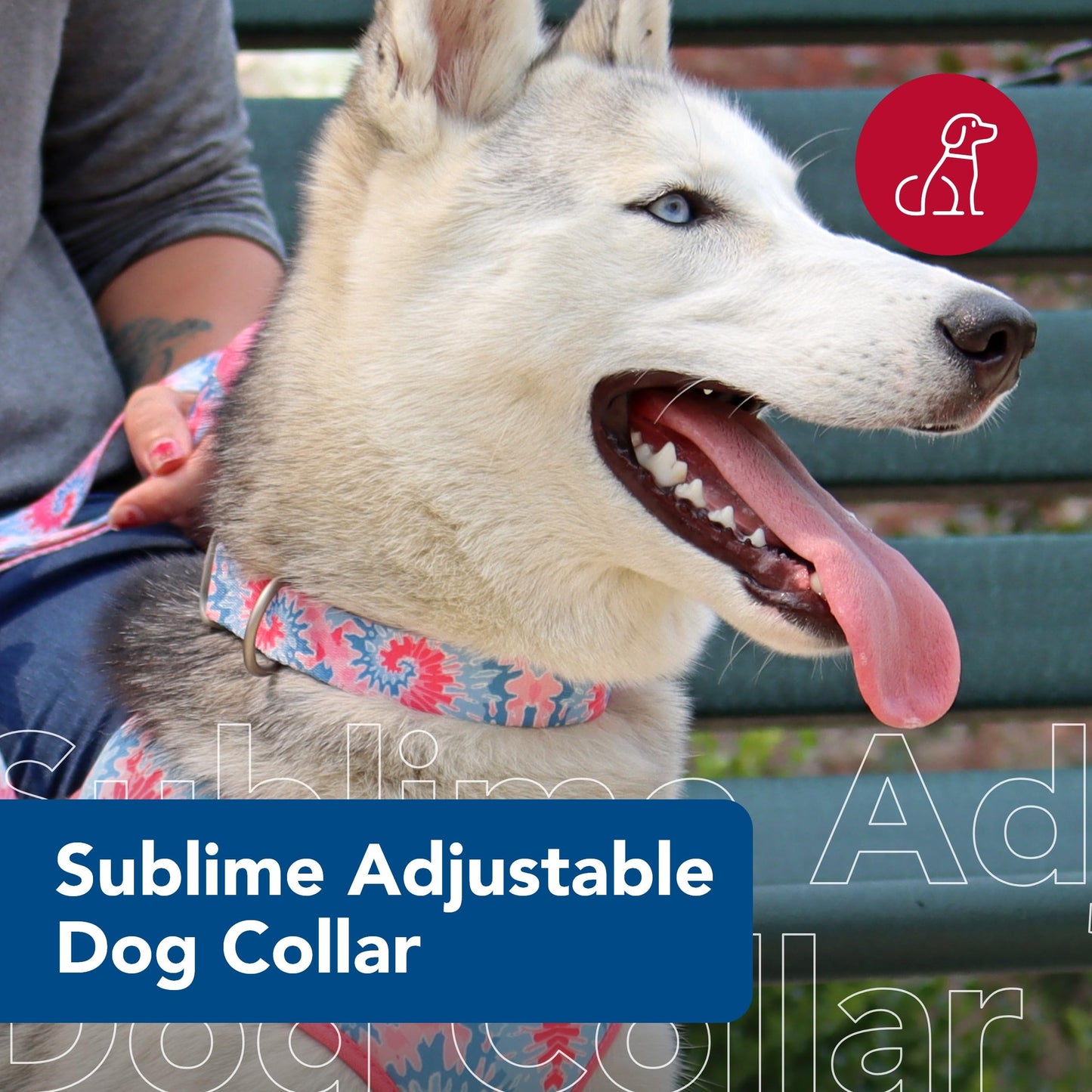 Collar Sublime Small 3/4 para perro