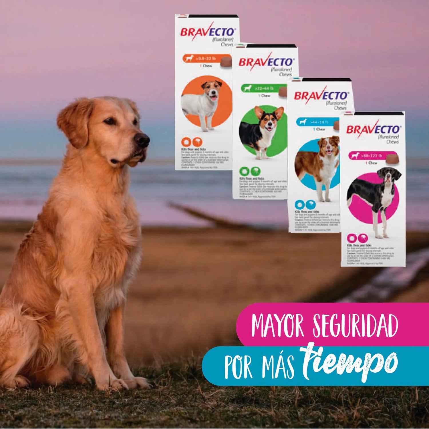 antipulgas y antigarrapatas bravecto tabletas masticables