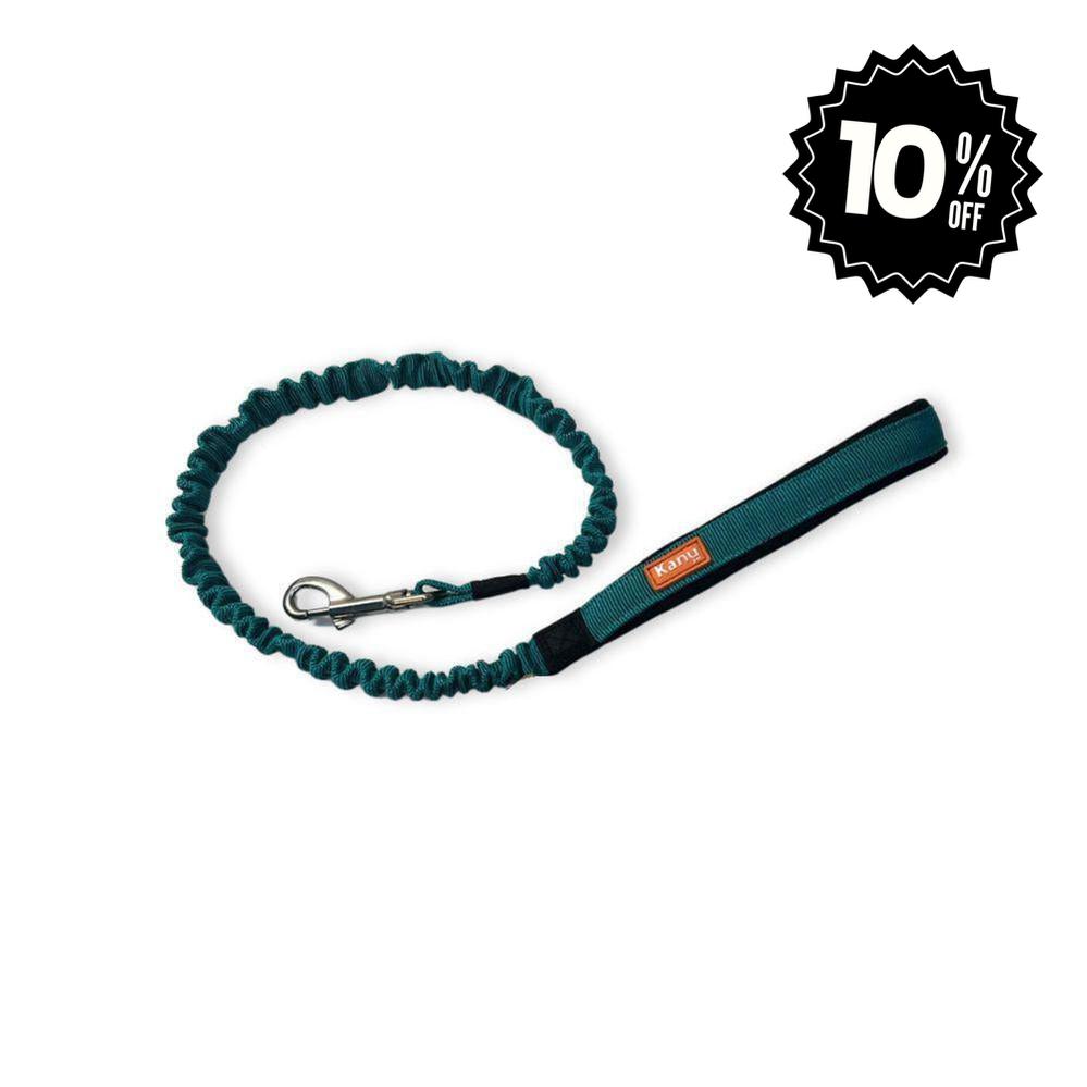 Correa Anti choque Kanu Pet para Perro Verde Jade