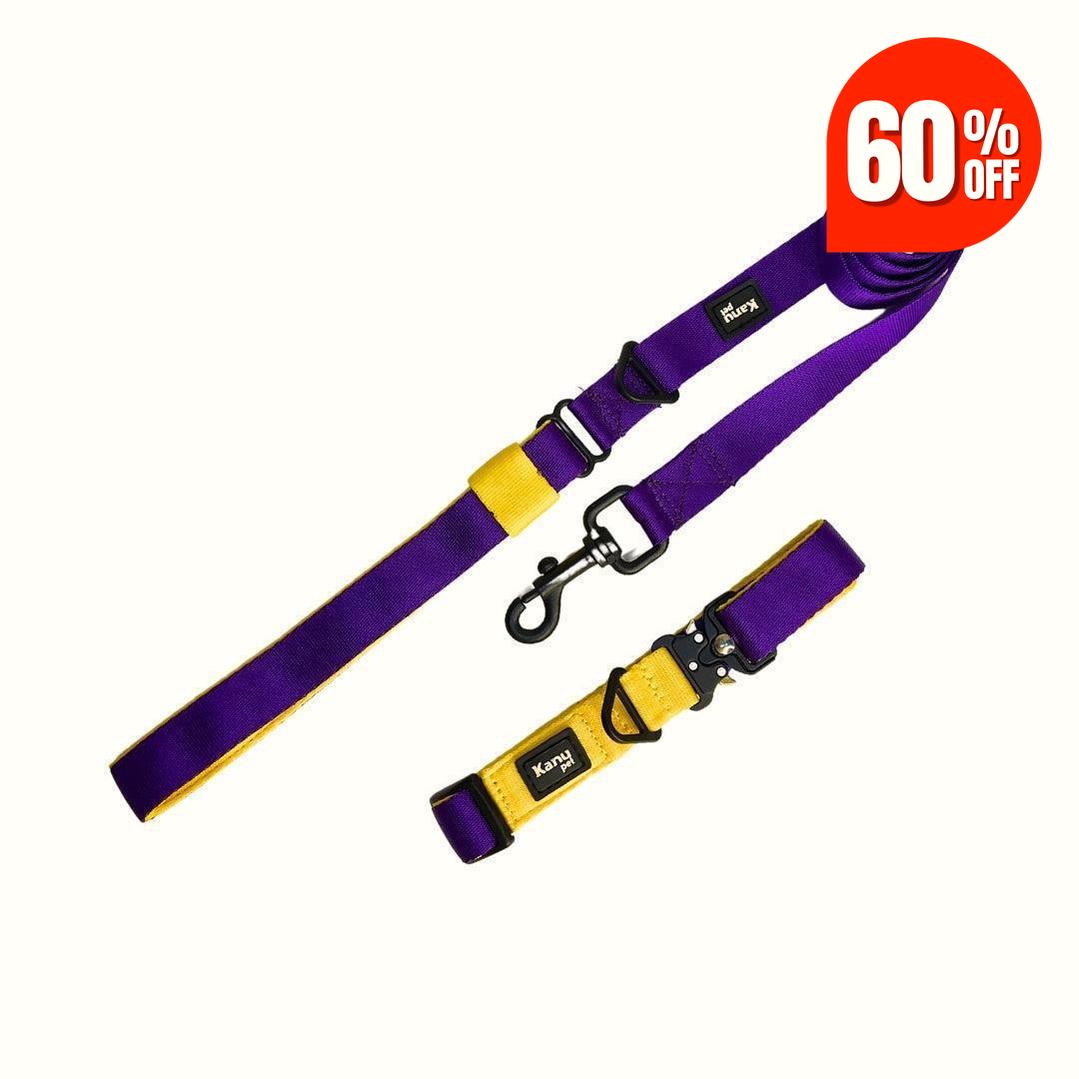 Combo Collar/Correa Amarillo-Morado Kanu Pet para Perro
