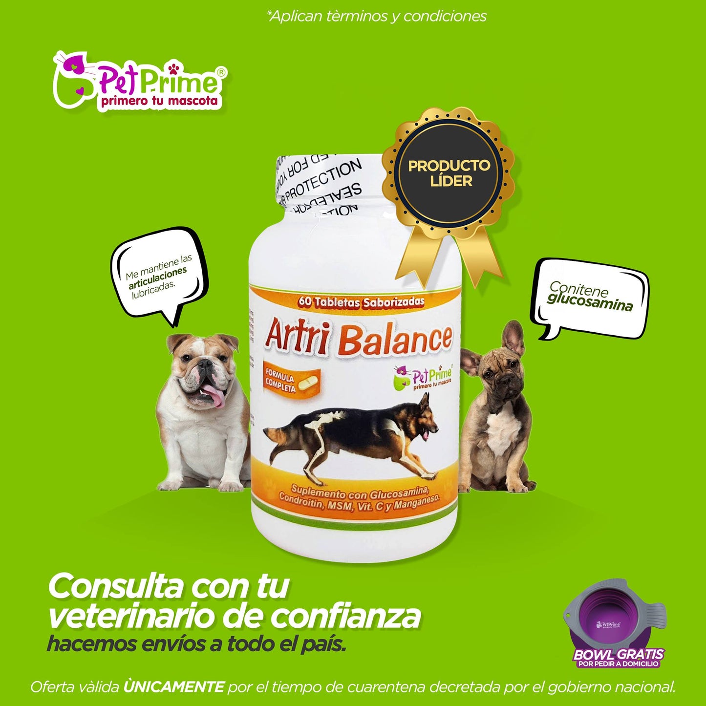 Artri Balance X 60 Tab Para Perro